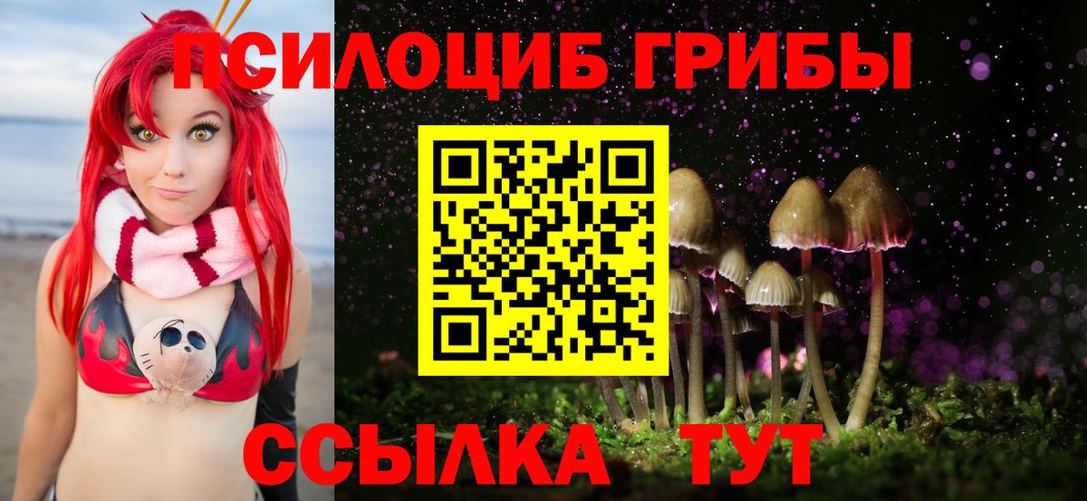 Псилоцибиновые грибы мухоморы Елец
